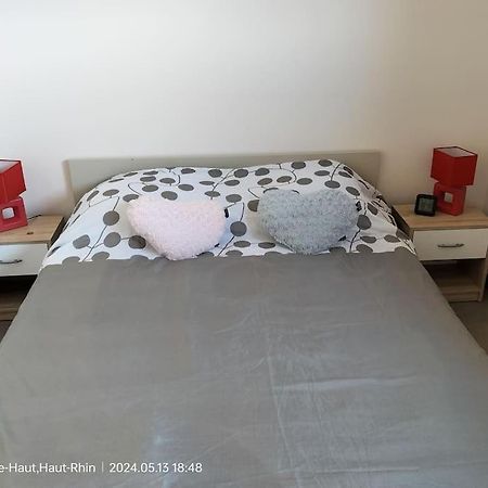 Apartment Einliegerwohnung Hagenthal-le-Haut Εξωτερικό φωτογραφία