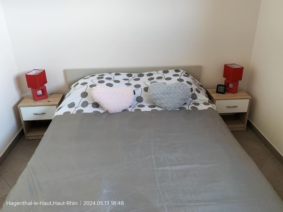 Apartment Einliegerwohnung Hagenthal-le-Haut Εξωτερικό φωτογραφία