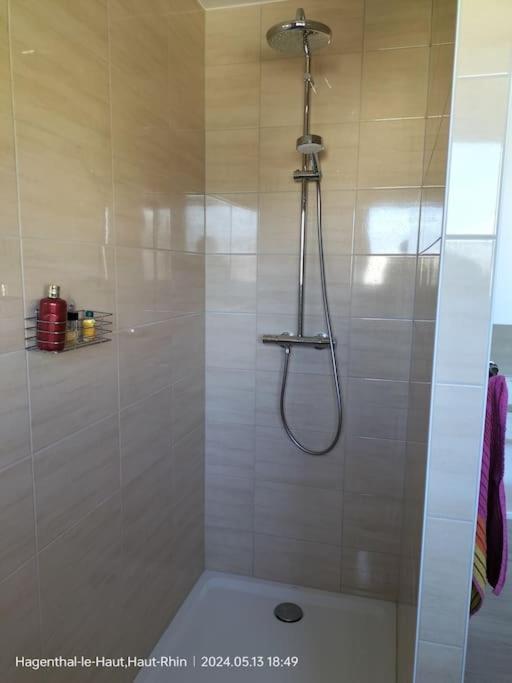 Apartment Einliegerwohnung Hagenthal-le-Haut Εξωτερικό φωτογραφία