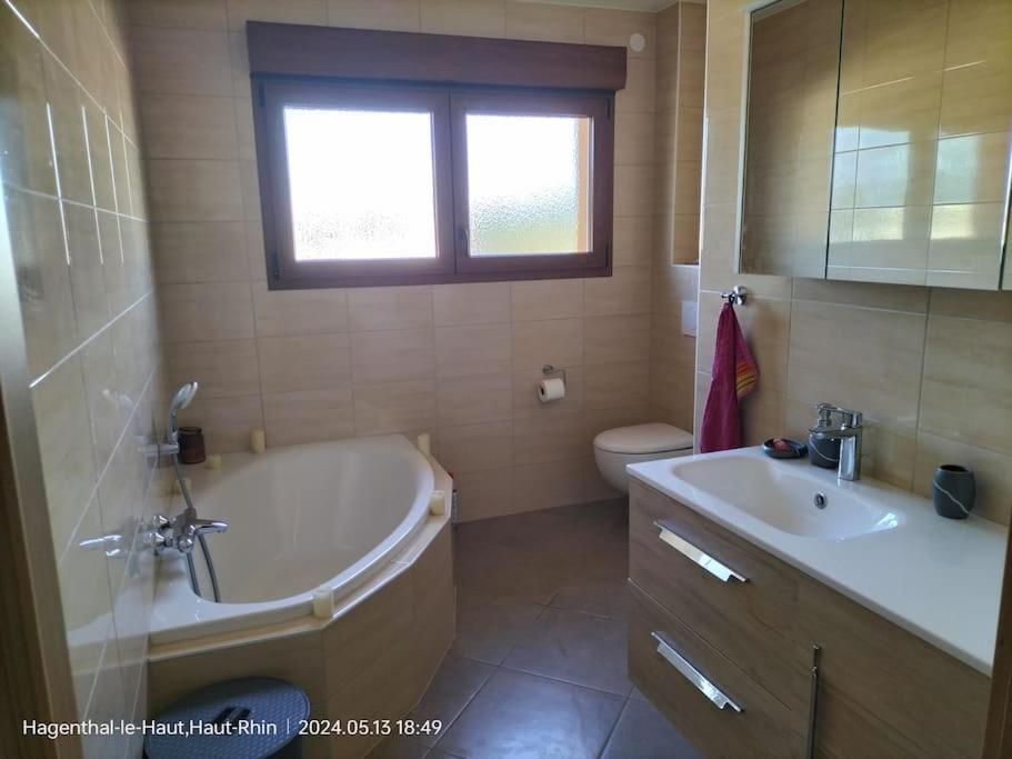Apartment Einliegerwohnung Hagenthal-le-Haut Εξωτερικό φωτογραφία