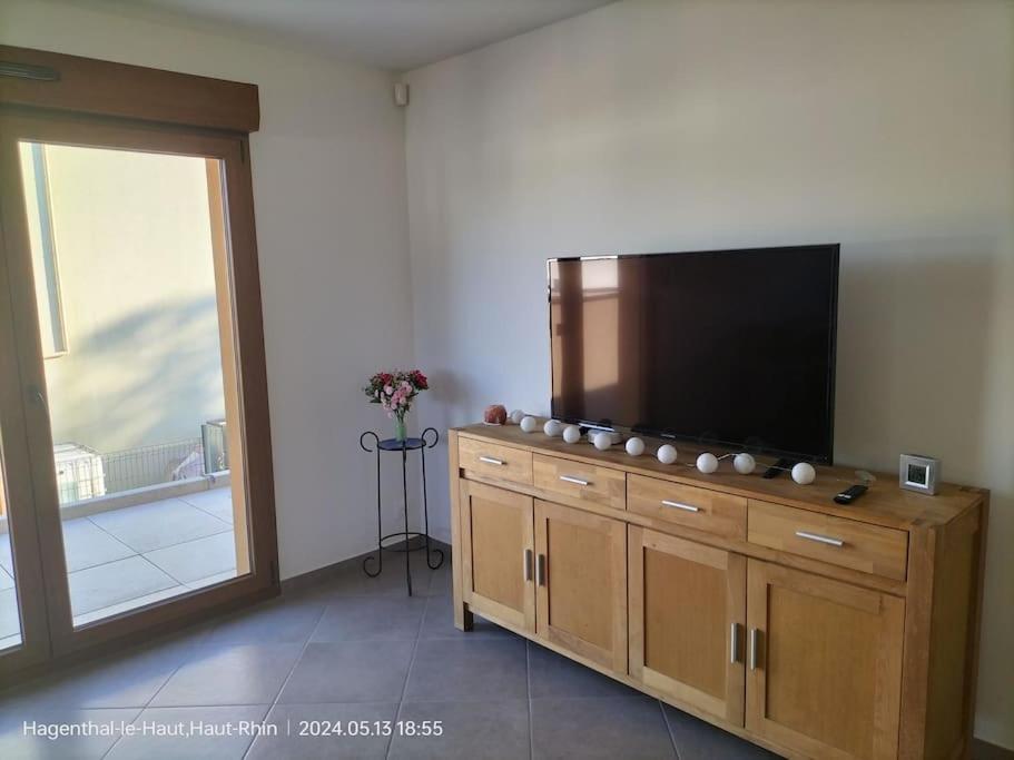 Apartment Einliegerwohnung Hagenthal-le-Haut Εξωτερικό φωτογραφία